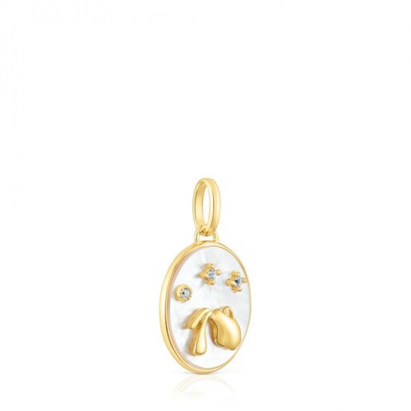 Přívěsky Tous Horoscope Aquarius With Mother-of-pearl Zlaté | CZ-BFPVSQ105